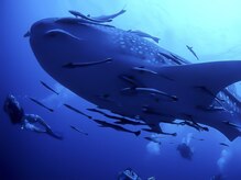 アジアンリラクゼーション ヴィラ 福岡東店(asian relaxation villa)/タイ；リチェリューロック