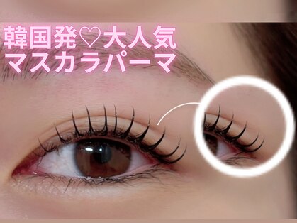アネラ(ANELA)の写真