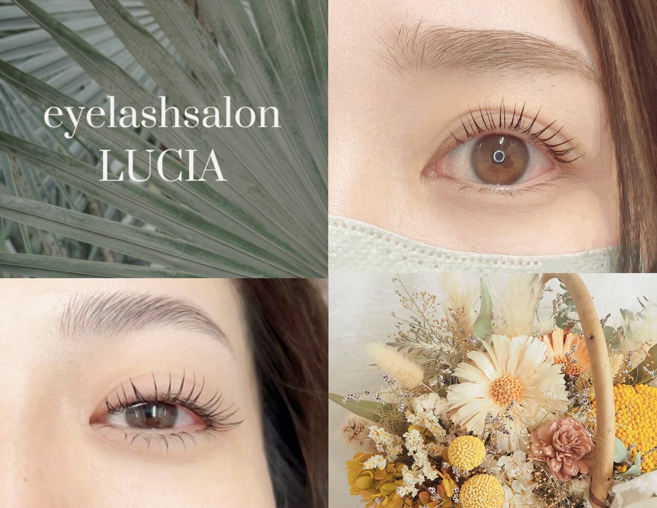 まつのり シクラメン ルチア① シクラメン F1 ルチア シリーズ｜WEB