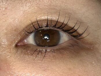 プラチナムドール 豊田店(PLATINUM DOLL)/マツパ/まつ毛パーマ/1番人気