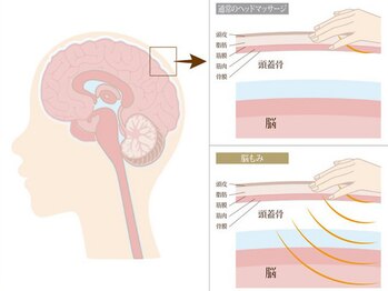 シールド バイ ココイロ(SHIELD by COCOIRO)/脳もみ【脳の整体】