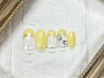 6月定額デザイン