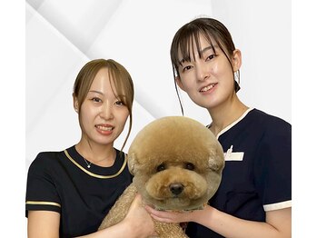 ベンザイ 梅田店(BENZAI)/看板犬のニコちゃんと仲良し