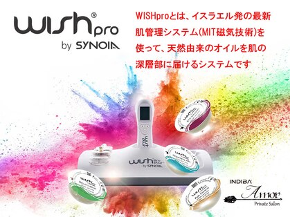 アモル(Amor)の写真