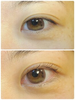 アイラッシュリリィ(Eyelash Lily)/パリジェンヌラッシュリフト