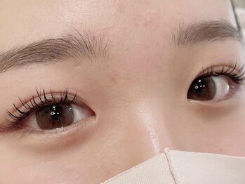 ロー(LOWE)/フラットラッシュ120本＊