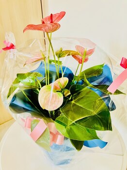 ニコリ(nicori)/～内覧～サロンの雰囲気