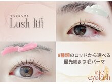 アテアイラッシュ 堺市駅店(ate eyelash)の雰囲気（お客様の目に1番似合うロッドを選定◎/堺市駅/堺区/堺）