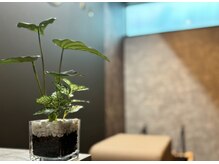 ブースター(BOOSTAR)の雰囲気（リラックス空間）