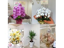 ディーエヌネイルサロン(d’n nailsalon)/お祝いお花沢山いただきました