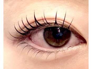 ルースアイプラス(Luz.eye+)/ラッシュリフト上下