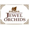 ジュエルオーキッド(JEWEL ORCHIDS)ロゴ