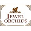 ジュエルオーキッド(JEWEL ORCHIDS)のお店ロゴ