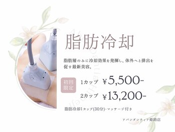 アバンダンティア 姫路店/脂肪冷却＋部分マッサージ