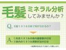 【デトックス！！】毛髪ミネラル検査♪カウンセリング４０分