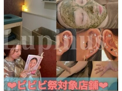 ルピナス(Lupinus)の写真