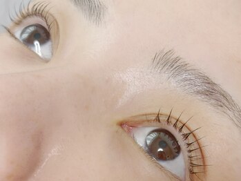 アフェディア(AFEDIA)の写真/【大人の品格】盛りすぎない、でも確実に変わる。自まつげを活かしたナチュラルで美しい仕上がりをご提案