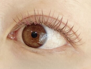 オン ザ スムース(ON THE SMOOOTH)の写真/【春の垢抜けマツエク！】大人に選ばれる上質な持続力と毛質。華やかな目元を演出☆アイブロウメニューも◎