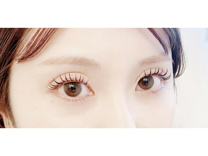 リリー(LILY)の写真