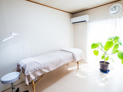 リス(Lys)の写真