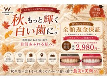 ホワイトニングショップ 小山店