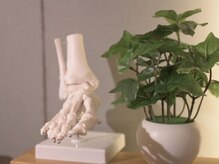 グレイ(GRAY)/カイロプラクティック 肩甲骨 顔