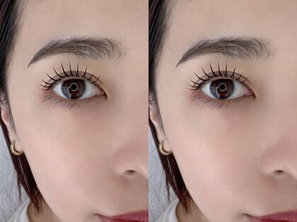 ナンシー(Nancy)の写真