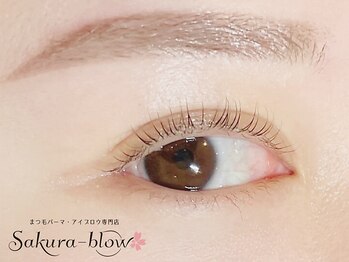 まつげパーマ・眉毛・アイブロウ専門店 Sakura-blow 北千住店【4/10 OPEN(予定)】の写真/【北千住駅徒歩4分】年間1000人以上施術を行うスタッフがご希望&理想のアイブロウデザインをご提案◎