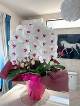 リノ&nbsp;ラン RAN