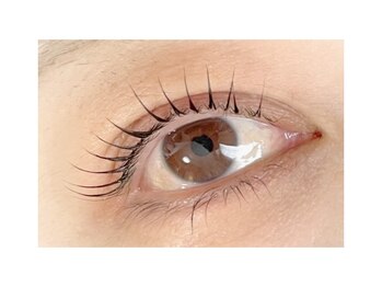 ルピナス(salon de Lupinus)/まつ毛カール