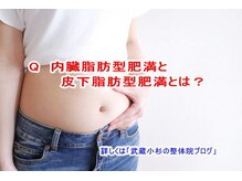 小池整体院/内臓脂肪型と皮下脂肪型とは？