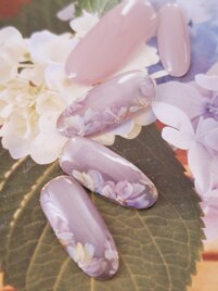 定額デザイン※写真は一例