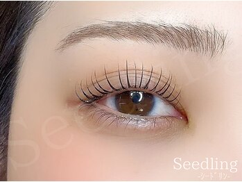 シードリン(Seedling)/まつげパーマ