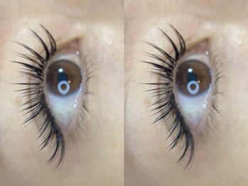 マイショウ 加須店(MY SHOW)/バインドロック140束