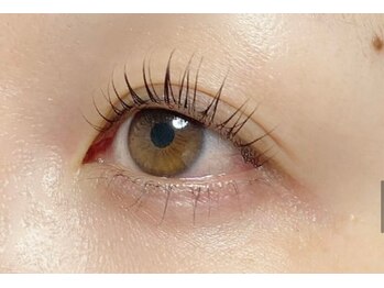 綿帽子 ウイングタウン岡崎店/まつげパーマ