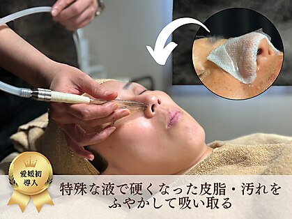 アルパカ(ALPACA)の写真
