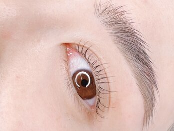 アイハビー 自由が丘(eyeHbe)/アイブロウWAX＋パリジェンヌ