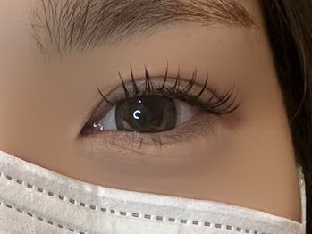 フリー#240(Free#240)/フラットラッシュ120本