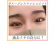 アイラッシュ シールズ(Cils)の写真
