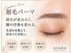 シェーン(schon)の写真
