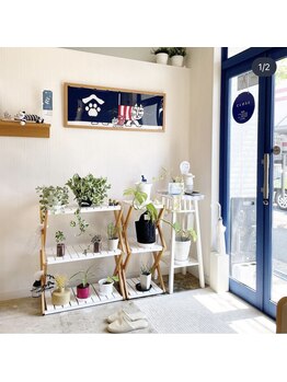 蒼月(aotsuki)/入り口