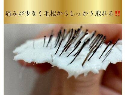 アンシャンテ(Enchante)の写真