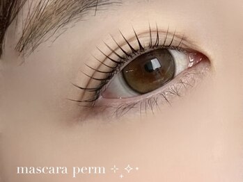 ノワ(nowa)/マスカラパーマ