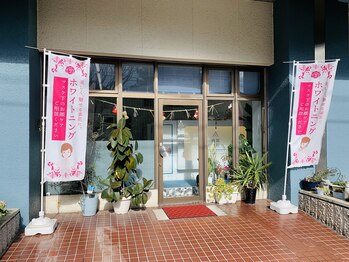 時間旅行/新年の写真