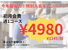 アイディール(IDEAL)