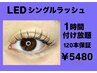 5月限定！ワンホンデザインLED1時間つけ放題！120本保証！¥5480