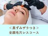 <黒ずみザラつき>全顔毛穴レスコース