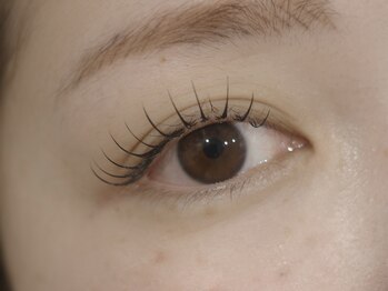 サンポ(sunp.)/