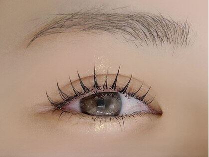 ラニ(Lani)の写真