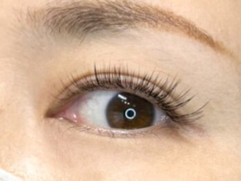 プルクラ(PULCHRA)/